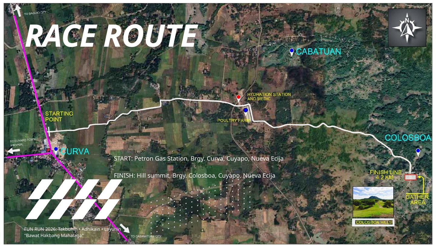 AMML Fun Run Proposal Slide 12 of 29